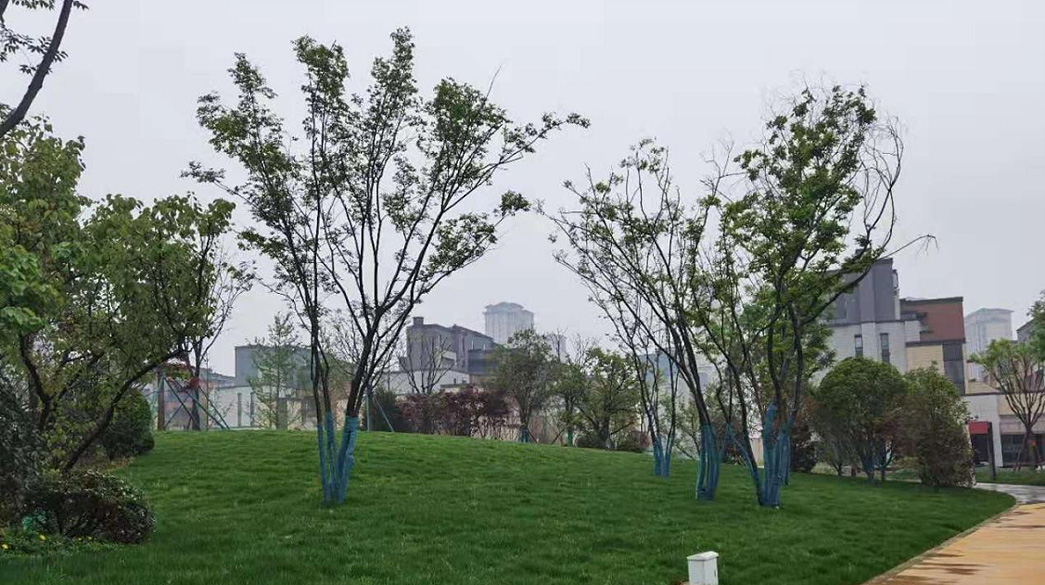 西安萬(wàn)科·理想城項(xiàng)目中央公園18#景觀及附屬