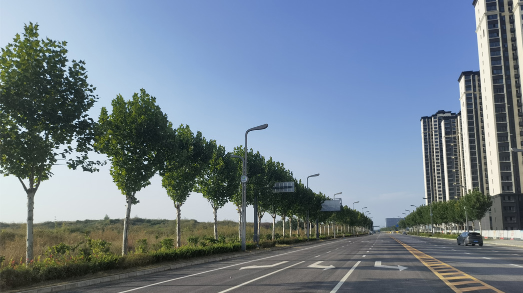 咸陽(yáng)高新區(qū)高科四路道路綠化工程